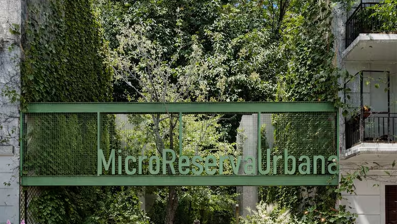 Quedó desierta la subasta de un terreno en Almagro