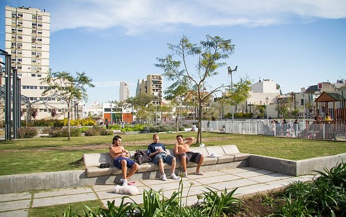 Plantarán nuevas especies en Plaza Boedo