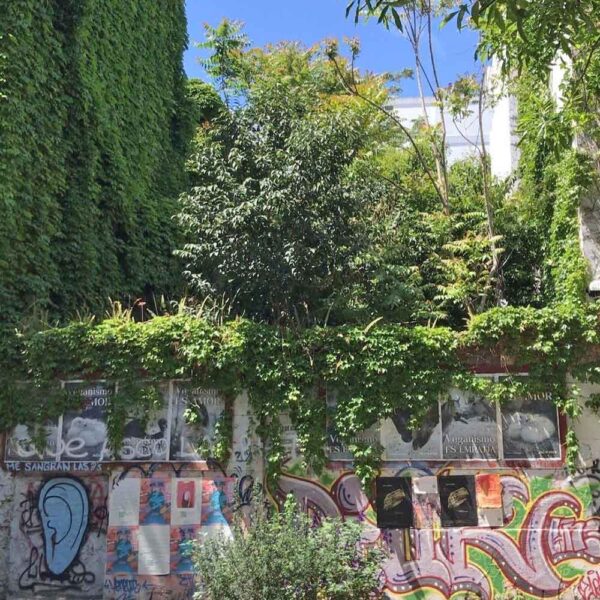 Reserva urbana en Almagro